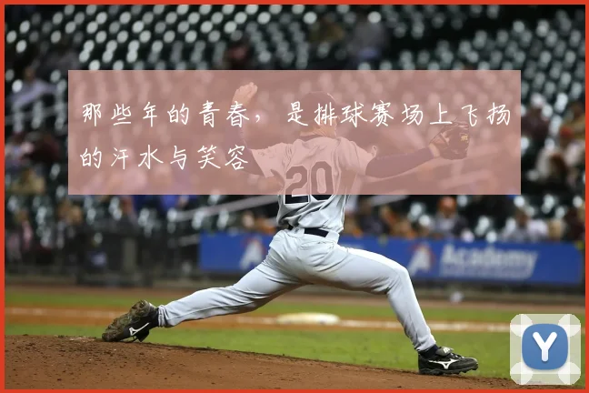 那些年的青春,是排球赛场上飞扬的汗水与笑容